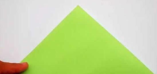 Ƥۼ̳