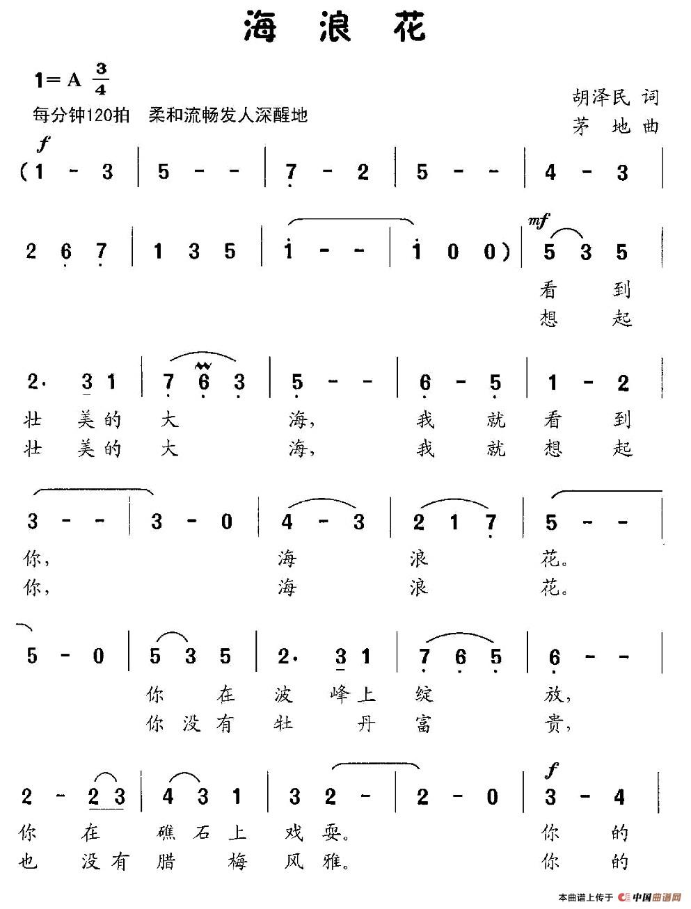 ˻V