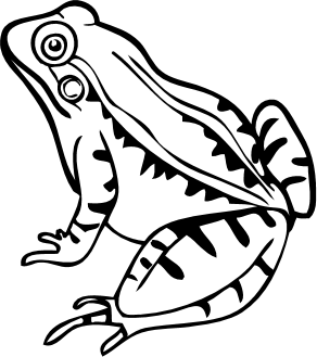 ڰʸ