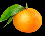 ͨʸ