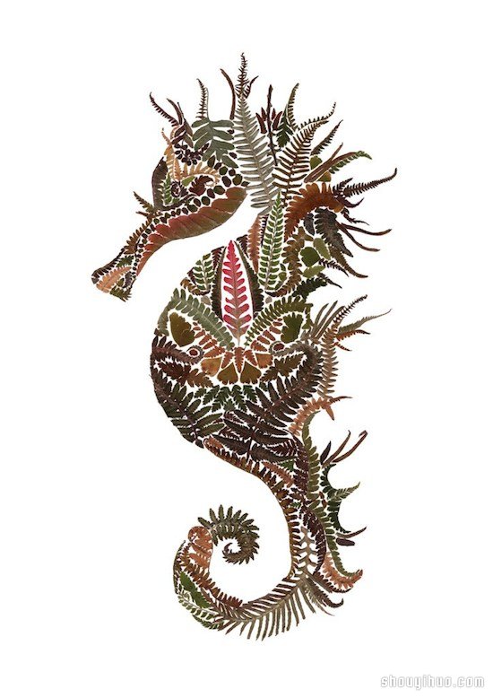 蕨類植物DIY仿佛帶有生命力的藝術圖案 - www.iyw0659.cn