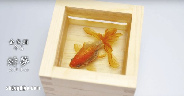 可憐小金魚被透明樹脂封存?別哭,你再仔細(xì)看 - www.iyw0659.cn