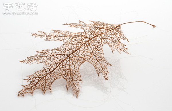 頭發絲編織落葉 宛如精致藝術品 - www.iyw0659.cn