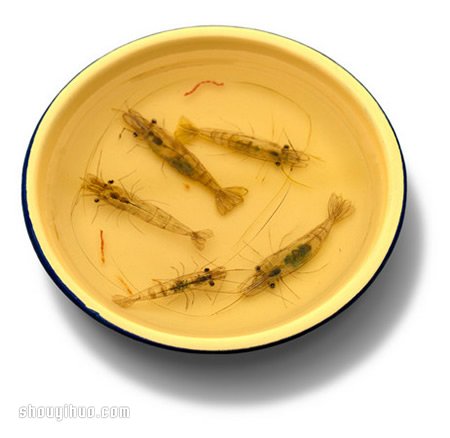 深堀隆介利用樹(shù)脂創(chuàng)作栩栩如生的3D藝術(shù)畫(huà) - www.iyw0659.cn