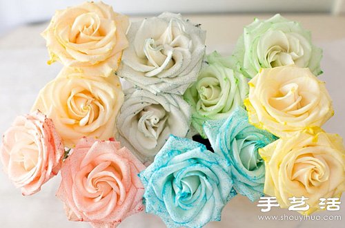 白色玫瑰染色 DIY七彩玫瑰花 - www.iyw0659.cn