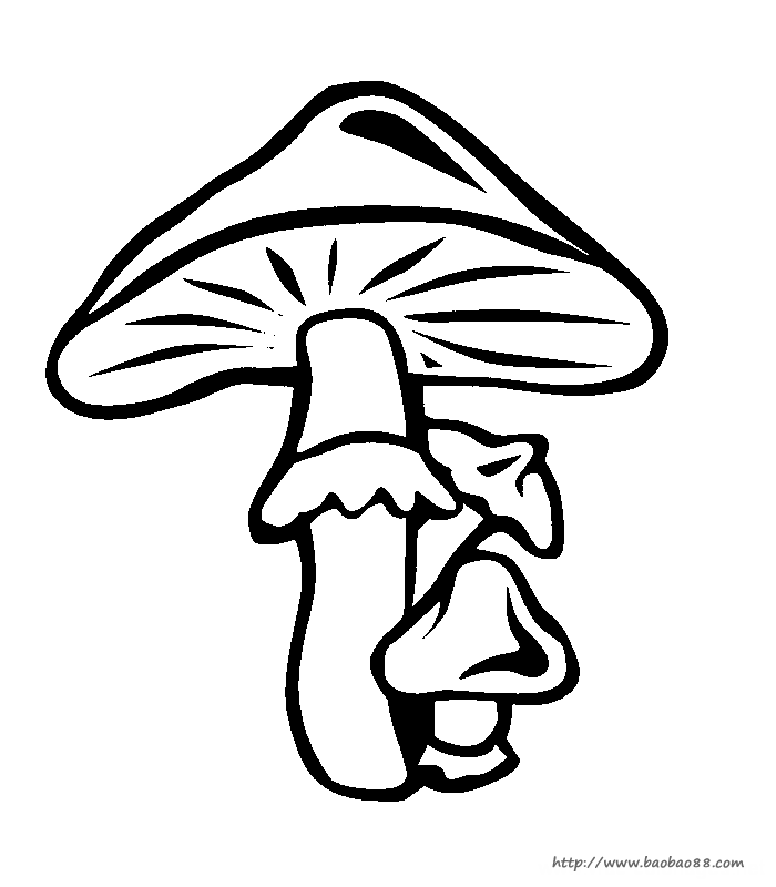 ĢֲﺆP