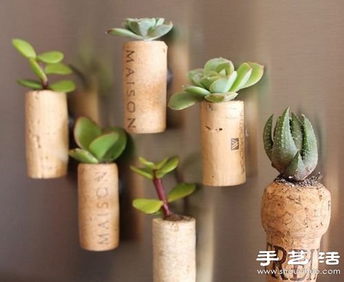 廢品利用:12個廢物利用小技巧DIY創意盆栽 - www.iyw0659.cn