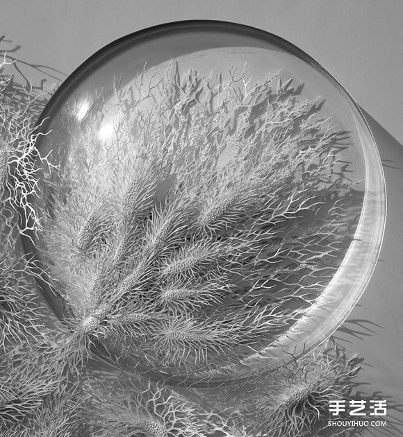 以細(xì)菌、結(jié)晶等為靈感創(chuàng)作的立體紙雕作品 - www.iyw0659.cn