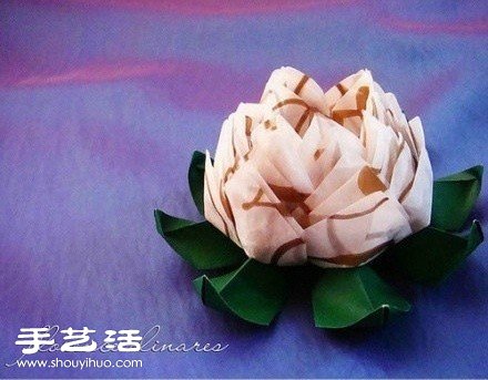 տֹwۼƷp -  www.iyw0659.cn