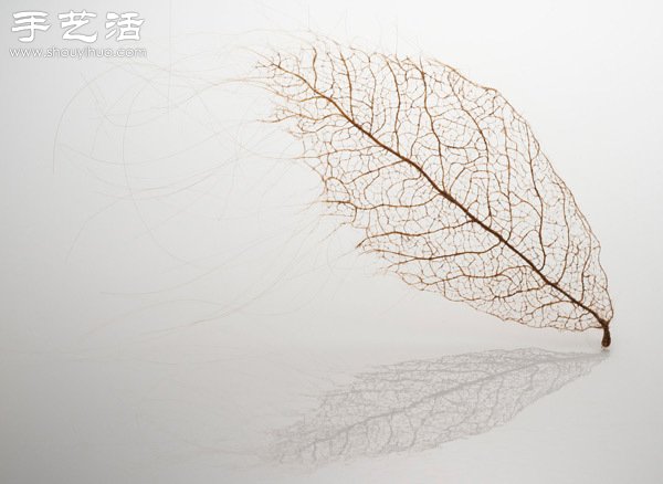 頭發絲編織落葉 宛如精致藝術品 - www.iyw0659.cn