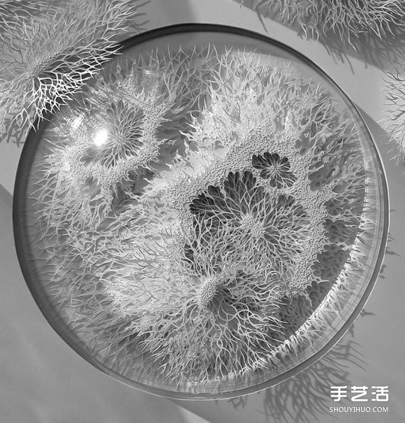 以細(xì)菌、結(jié)晶等為靈感創(chuàng)作的立體紙雕作品 - www.iyw0659.cn