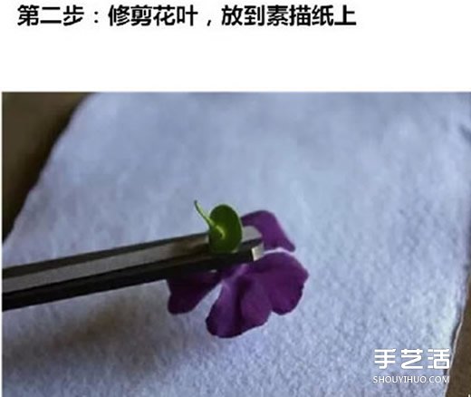 ~ӡô Ƙ~ӡEDƬ -  www.iyw0659.cn