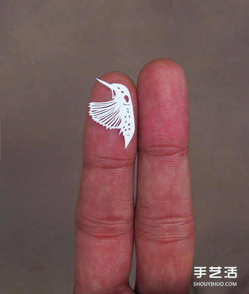 精致到令人驚嘆的剪紙藝術 連羽毛都能躍然紙上 - www.iyw0659.cn