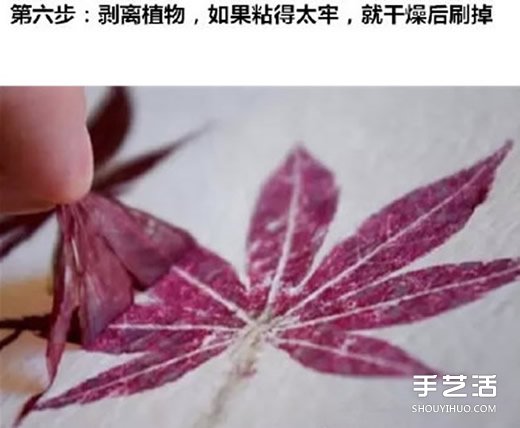~ӡô Ƙ~ӡEDƬ -  www.iyw0659.cn