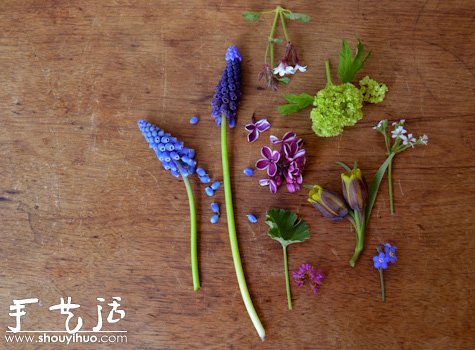 蛋殼小花園手工制作 - www.iyw0659.cn