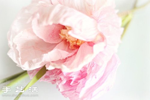 皺紋紙/宣紙DIY手工制作美麗逼真紙花 - www.iyw0659.cn