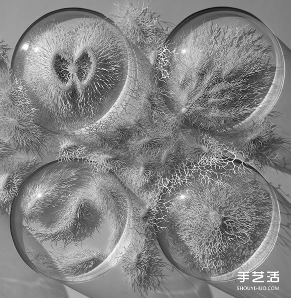 以細(xì)菌、結(jié)晶等為靈感創(chuàng)作的立體紙雕作品 - www.iyw0659.cn