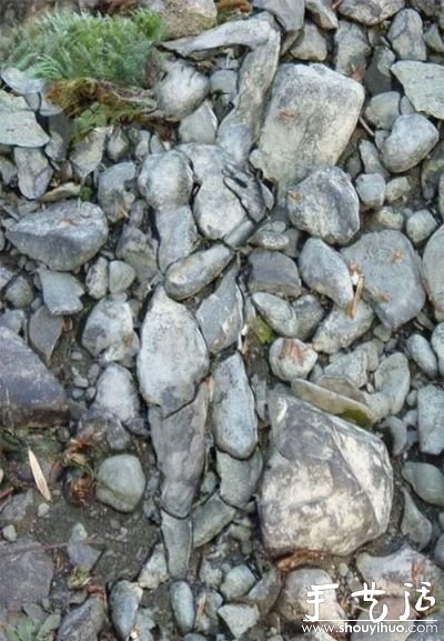 ԸƵʯ^ -  www.iyw0659.cn