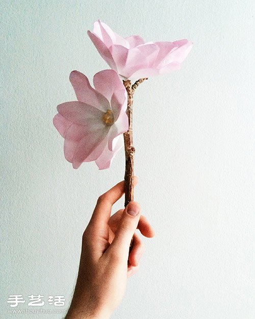 卡紙手工制作漂亮木蘭花的方法圖解教程 - www.iyw0659.cn