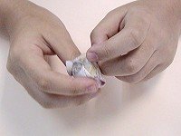 自制玩具小沙包 小沙包的制作和玩法 - www.iyw0659.cn