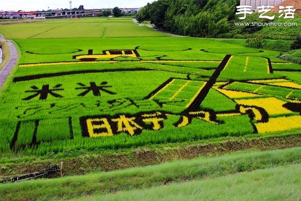 奇妙有趣創意DIY 稻田里創作巨幅畫卷 - www.iyw0659.cn