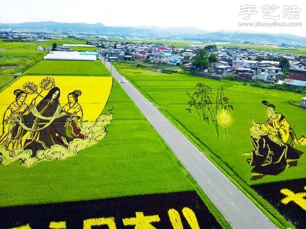 奇妙有趣創意DIY 稻田里創作巨幅畫卷 - www.iyw0659.cn