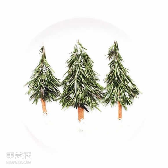 盤子上的藝術 利用蔬果廚余創作的烹飪畫布 - www.iyw0659.cn