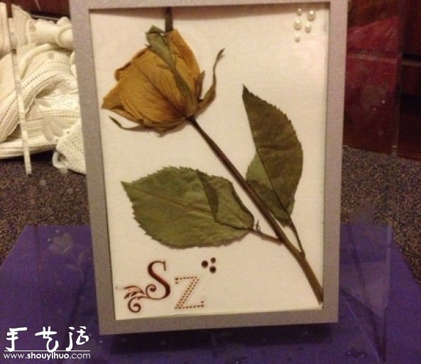 DIY干花裱框標本,干花裱框標本制作方法 - www.iyw0659.cn