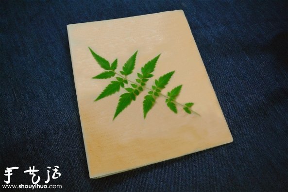 葉片印染DIY,制作小清新書本封面 - www.iyw0659.cn