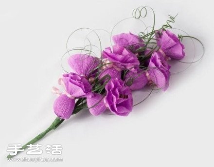 yֹD̳ -  www.iyw0659.cn