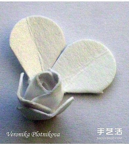 ӲƬۼõ廨ķ õ廨۷ED -  www.iyw0659.cn