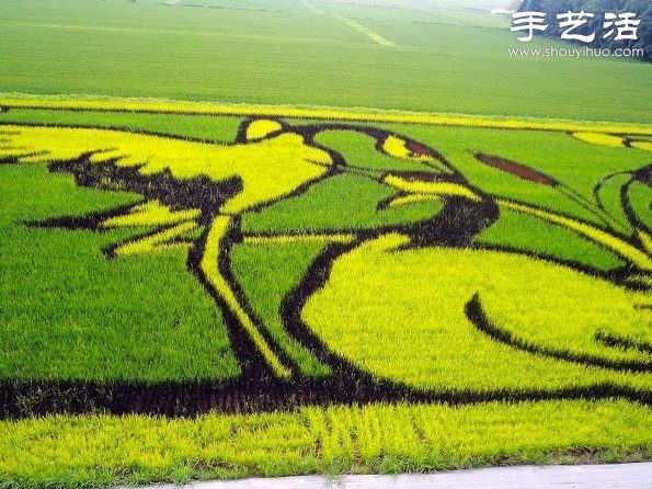 奇妙有趣創意DIY 稻田里創作巨幅畫卷 - www.iyw0659.cn