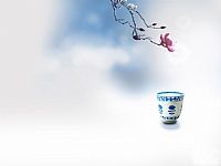 ໨ɻßƬDƬ